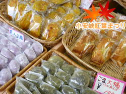 ファイル 1036-2.jpg