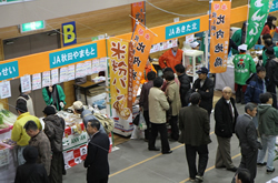 ファイル 1041-4.jpg