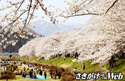 ファイル 2322-1.jpg