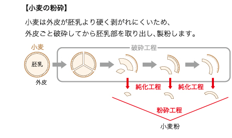 小麦の粉砕